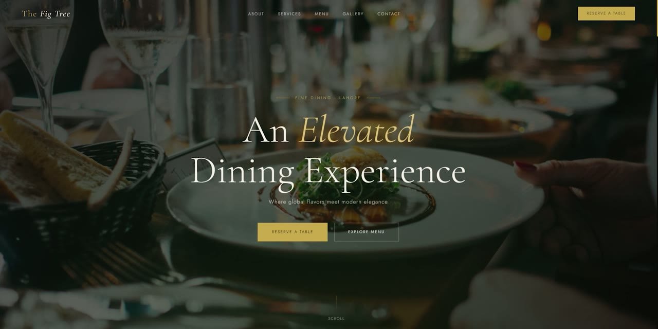 Web design portfolio
